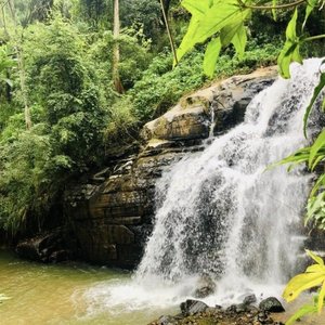 Backyard waterfall