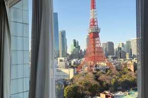 旅行者の写真