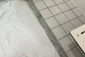 旅行者の写真