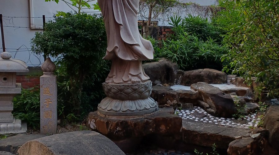 Don't forget to visit the garden at the back.