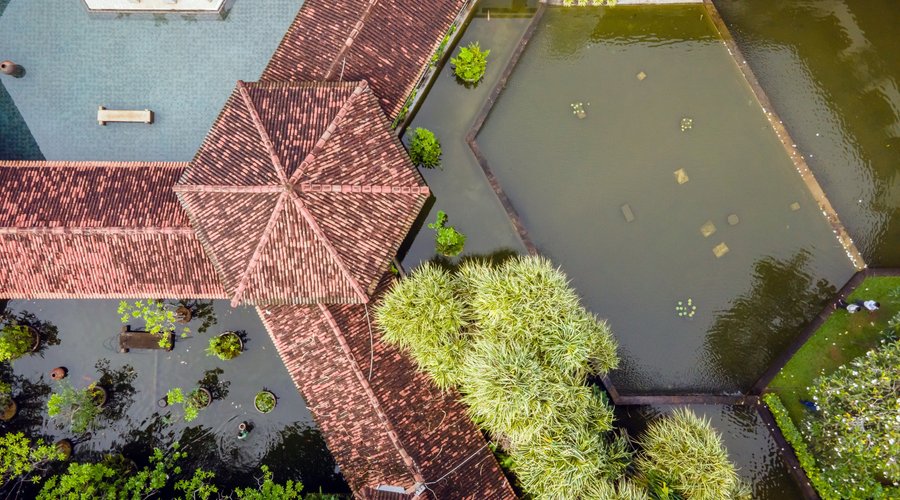 Water Garden