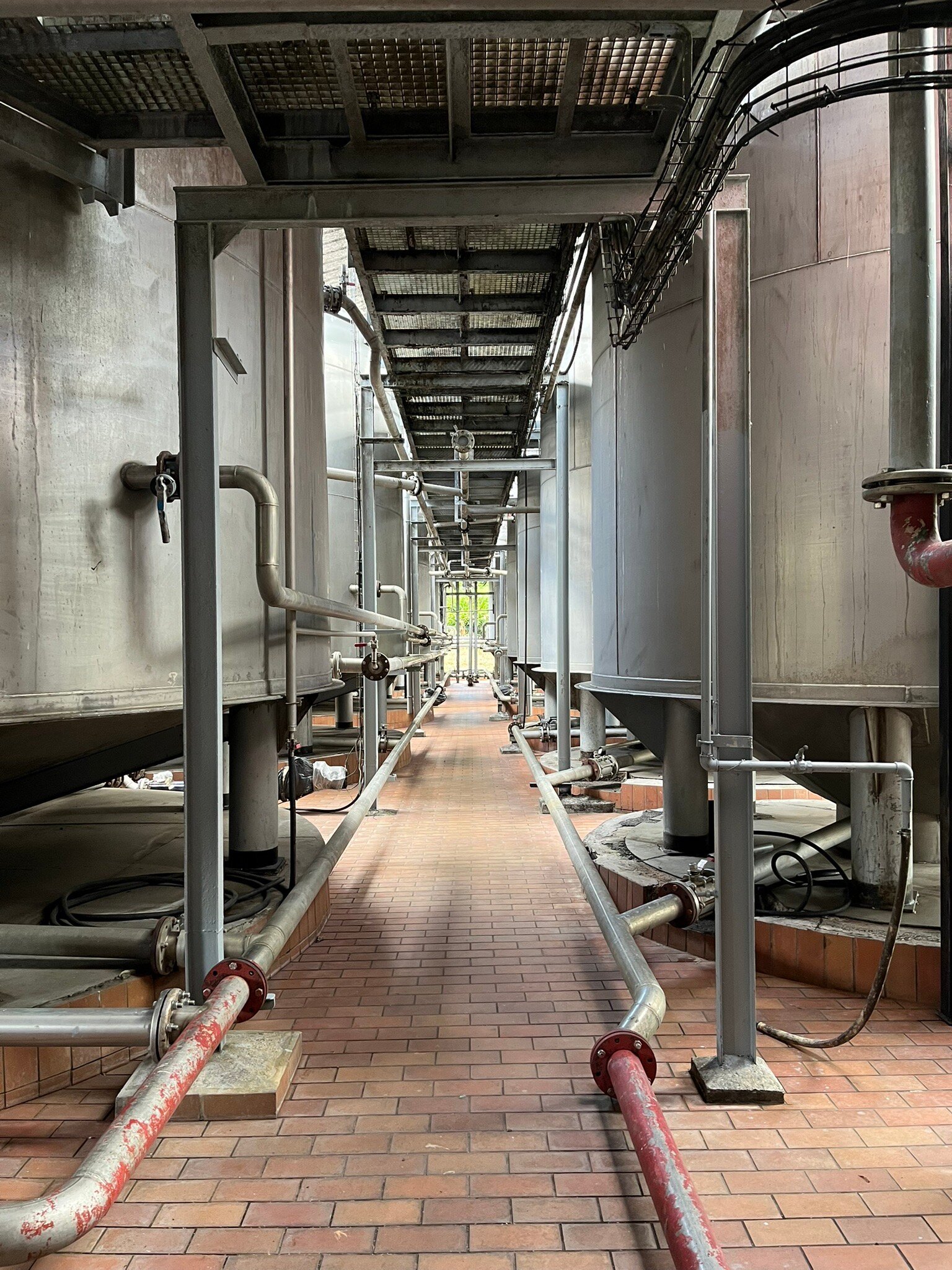 Distillerie Bonne Mère (2025) - All You Need to Know BEFORE