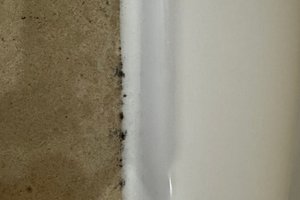旅行者の写真