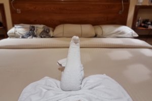 旅客