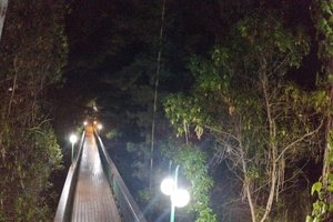 Viajero