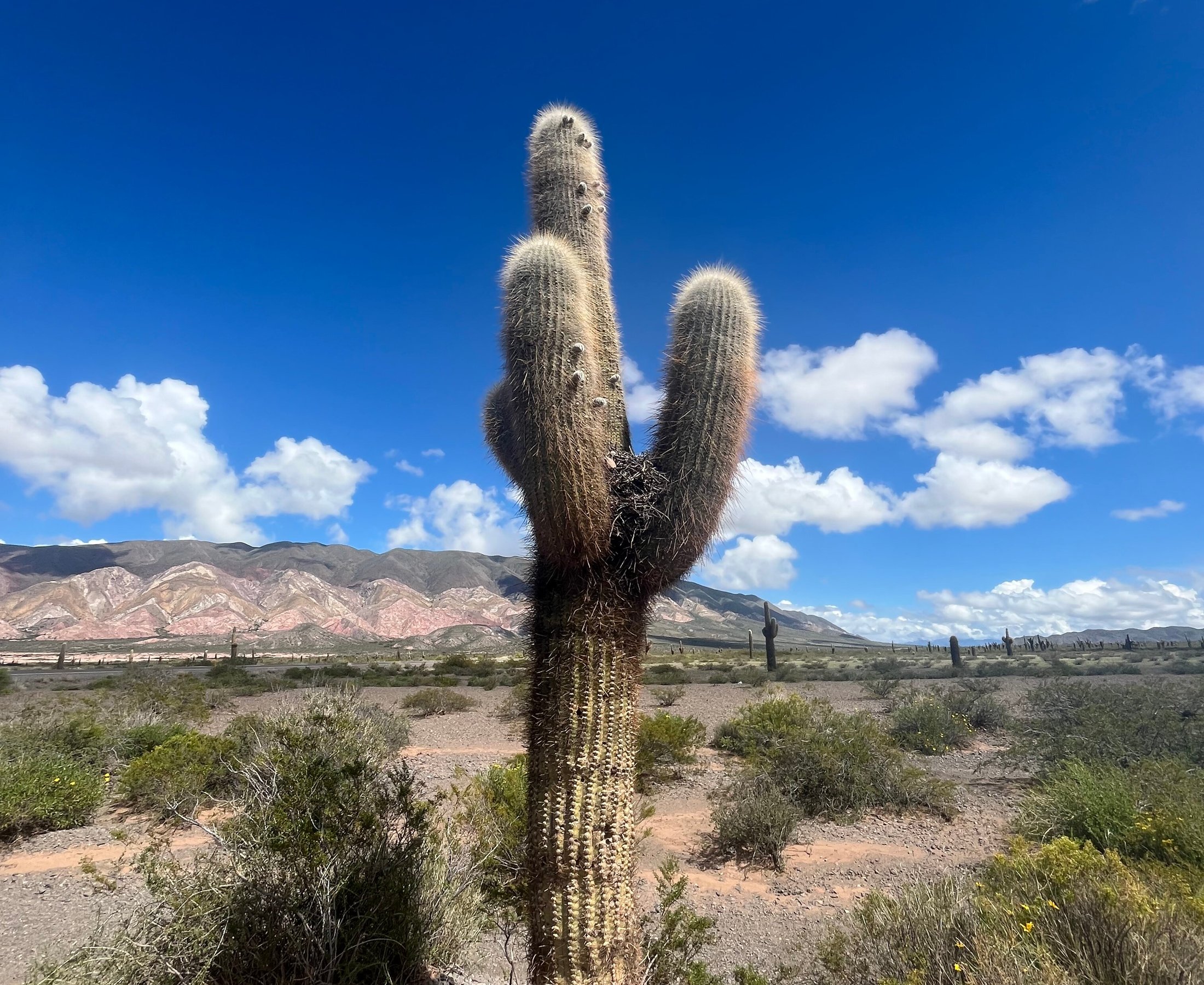 Uquia Turismo (2025) - All You Need to Know BEFORE You Go (with Reviews)