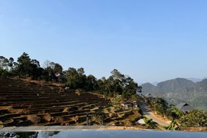 Khách du lịch