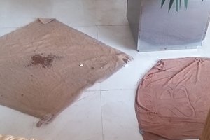 Viaggiatori