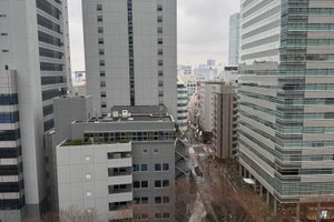 여행자 사진
