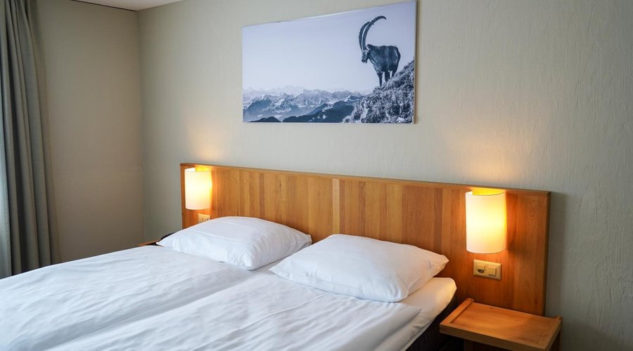 Standard Room Hotel Bellevue***