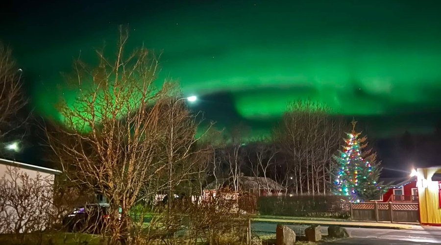 Northern lights view from Guesthouse garden
