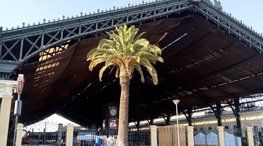 Estacion Central. Santiago, Chile. January 2025.