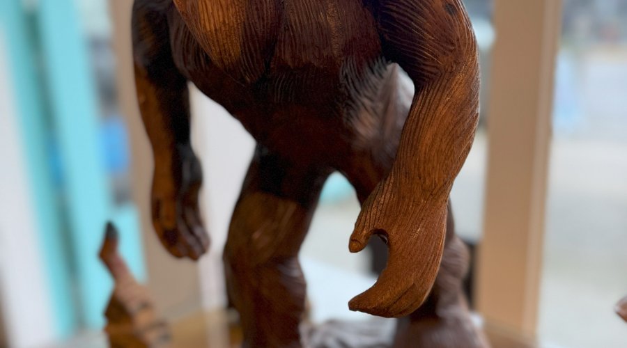 Sasquatch