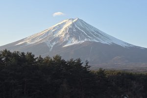 旅行者の写真