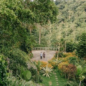 The Gardens