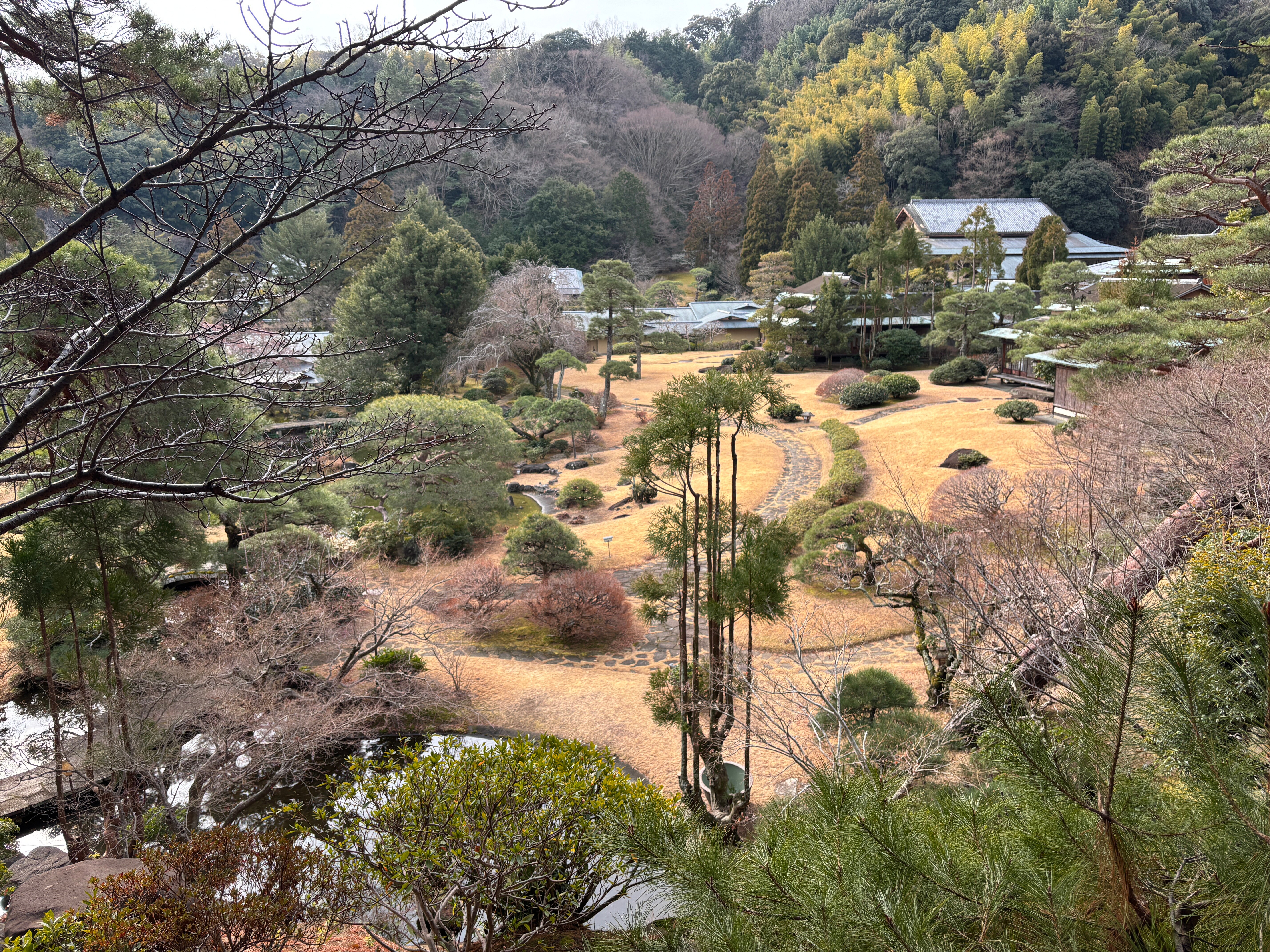 伊豆長岡温泉 三養荘 | * 2025年2月28日（金）、3月28日（金