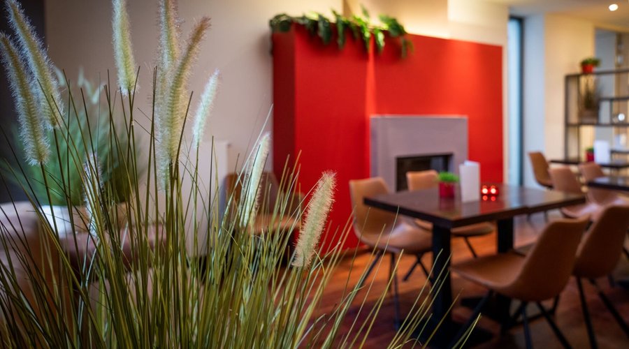 Gezellig lounge waar je met familie of vrienden kan napraten bij een drankje.
