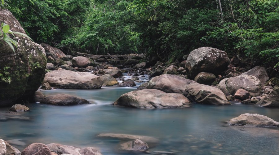 Acceso al río