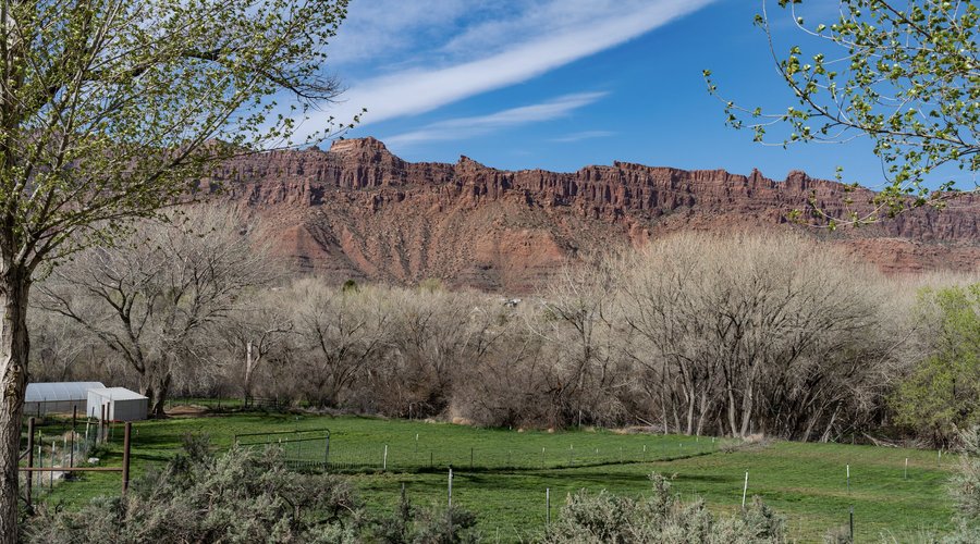 The stunning Moab Rim towers from across our pasture. 