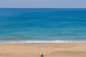 객실 및 스위트