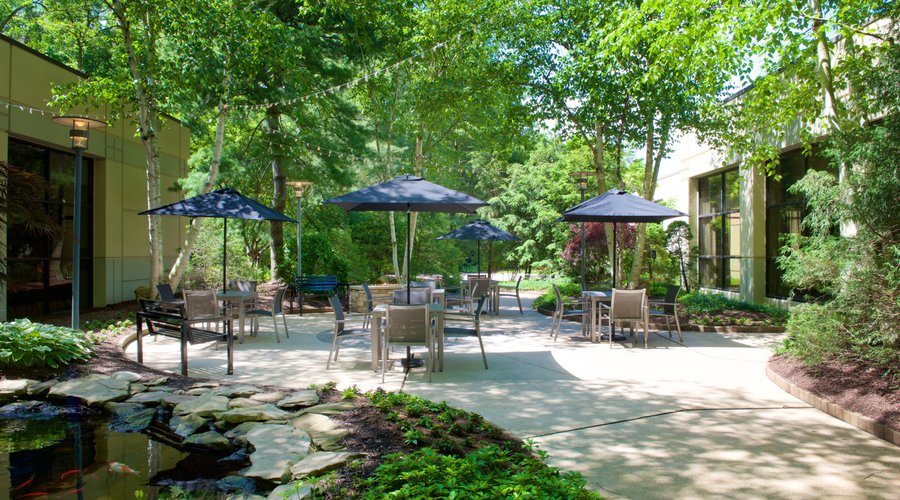 Outdoor Courtyard