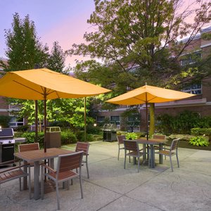 Outdoor Courtyard