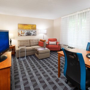 One-Bedroom Suite - Living Room