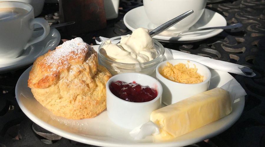 Homemade Scones