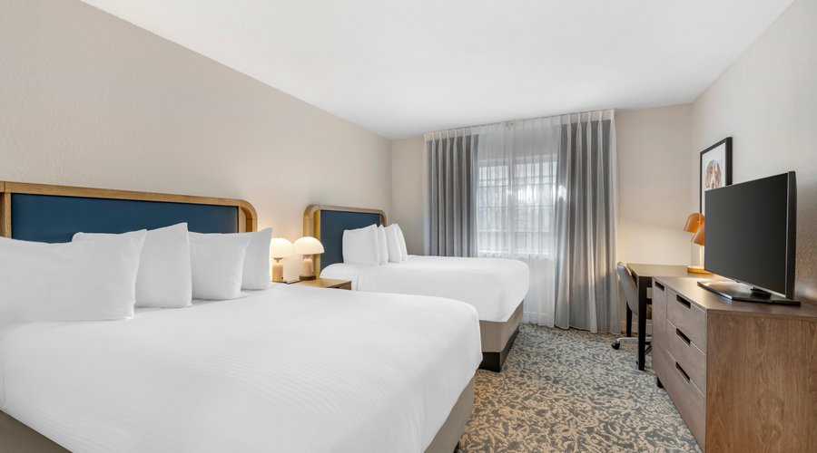 Newly renovated suites