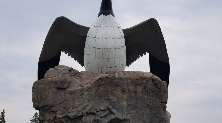 The Goose
