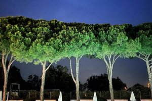 Viaggiatori