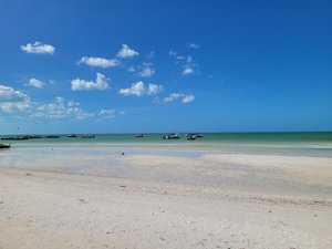 Viajero