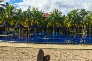 Pool & Beach