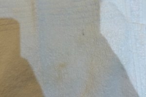 Viaggiatori
