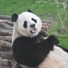 TravelBear73
