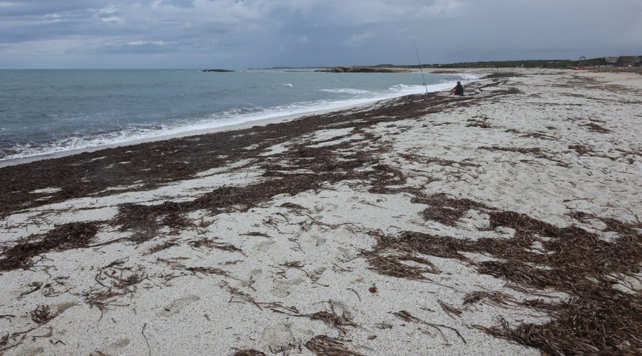 Cabras - Spiaggia Is Arutas, verso Punta Su Bardoni (Or)