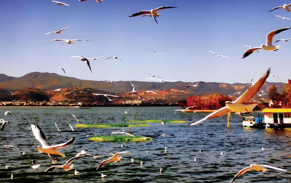Hello China Trip Kunming: Address, Phone Number - Tripadvisor