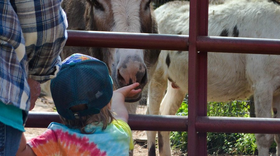 Buckaroo loves kids!