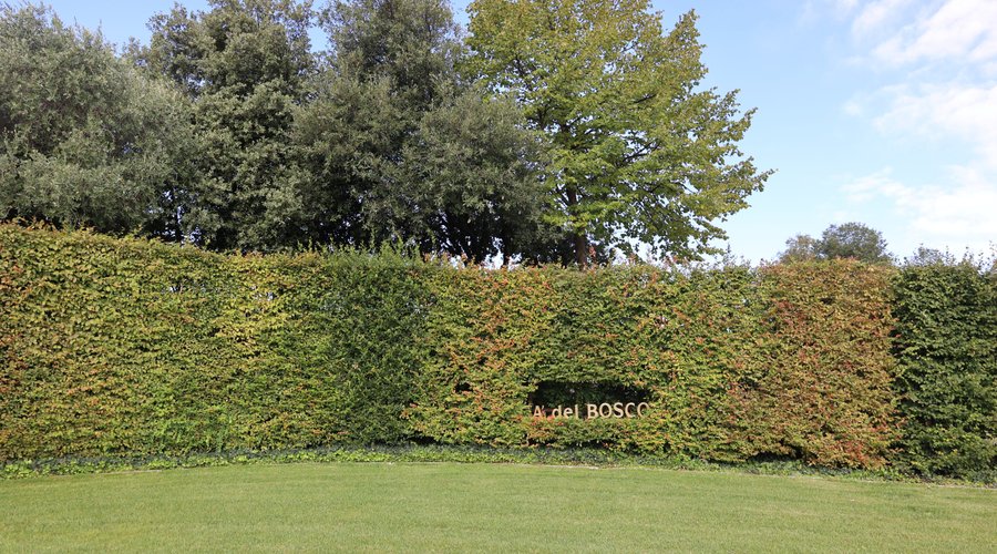 Erbusco - Cantina Ca' del Bosco (Bs)