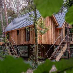 Waar kun je beter genieten van je welverdiende vakantie dan op het kleinste vakantieparkje van Brabant? Bed en Boshuisjes ligt in een stukje privé bos midden in de Oisterwijkse Bossen en Vennen en toch maar 2,5 km van het gezellige en gastvrije centrum van Oisterwijk. Het park heeft drie vrijstaande, comfortabel en compleet ingerichte boshuisjes en twee schitterende luxe boomhuizen. Met talloze fiets- en wandelroutes in de directe omgeving en het bourgondische Oisterwijk binnen handbereik.