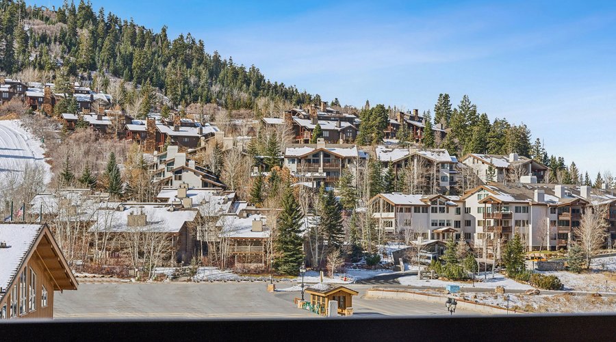 Snow Park View