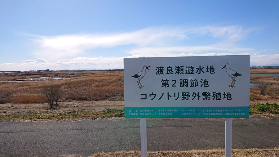 コウノトリの巣の周囲