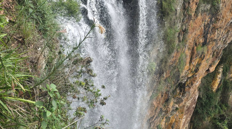 The Falls