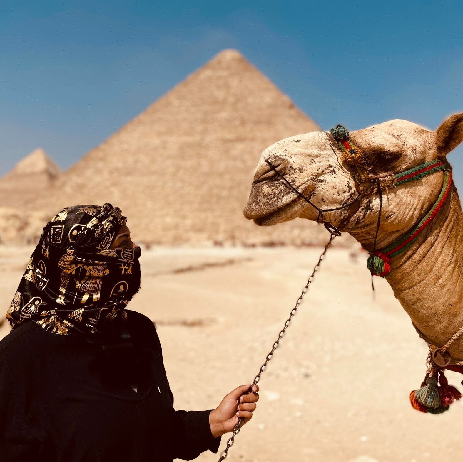 NESMA ABDELHAMID (2025) All You Should Know BEFORE You Go (with Trusted ... image.