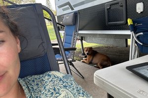 Traveller