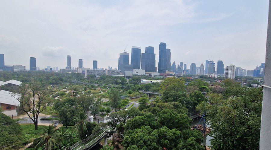 view