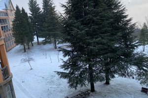 Viajante