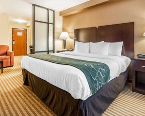 Room & Suite