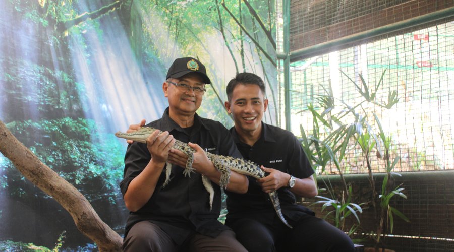 New experience at Croc Encounter