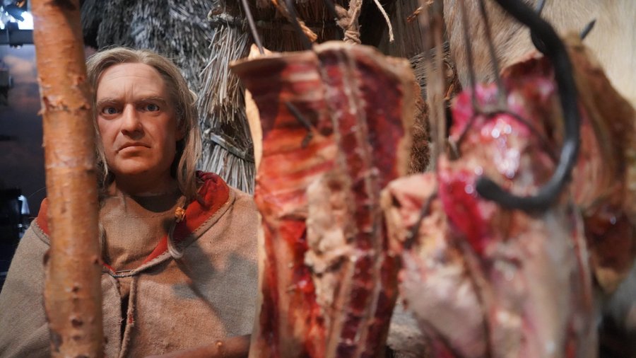 Viking animatronic